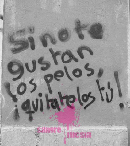 Sangre Fucsia: pintada feminista