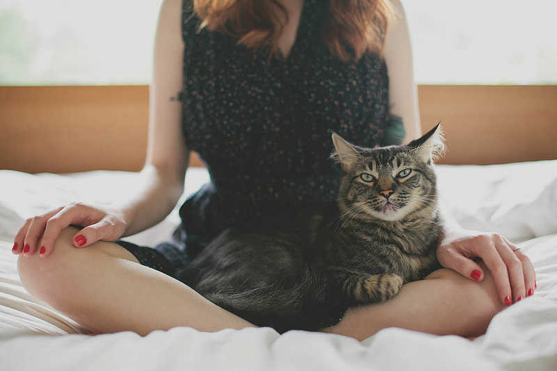 Torso de una mujer sentada sobre la cama con un gato sobre sus piernas