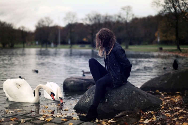 Una persona aparece sentada sobre una roca ante un lago y mira los cisnes que nadan en el agua