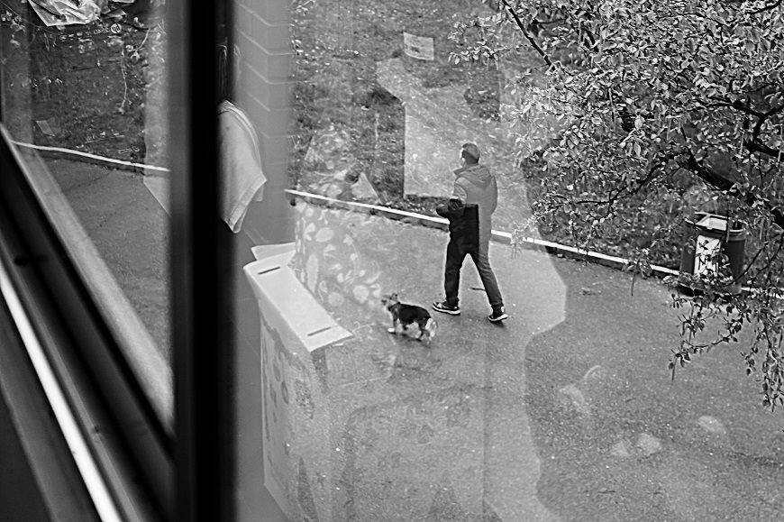 a través de una ventana se ve a una persona paseando un perro