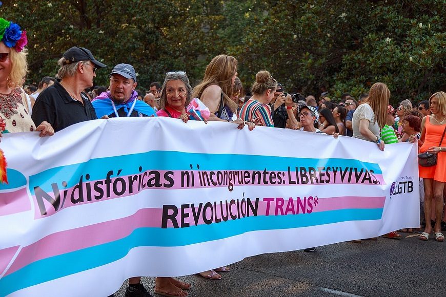 un grupo de personas encabeza una manifestación con la bandera trans