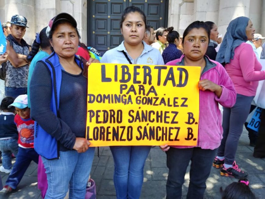 tres mujeres portan un cartel que pone libertad para dominga