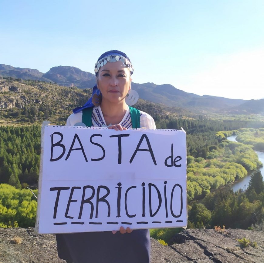 una mujer con un cartel que dice 'basta de terricidio'