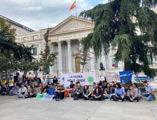 La huella del activismo climático